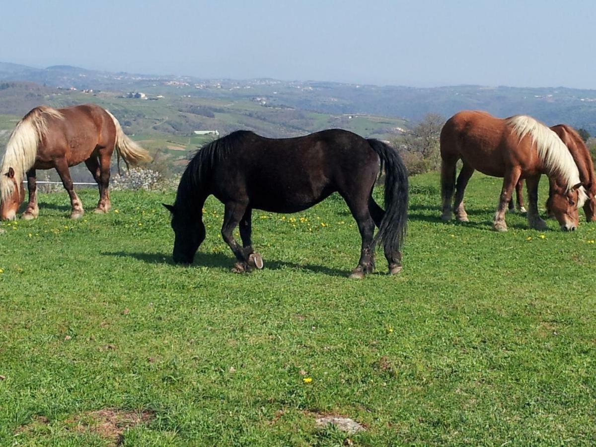 Hotel Ferme De La Bonnefontaine Plats Zewnętrze zdjęcie
