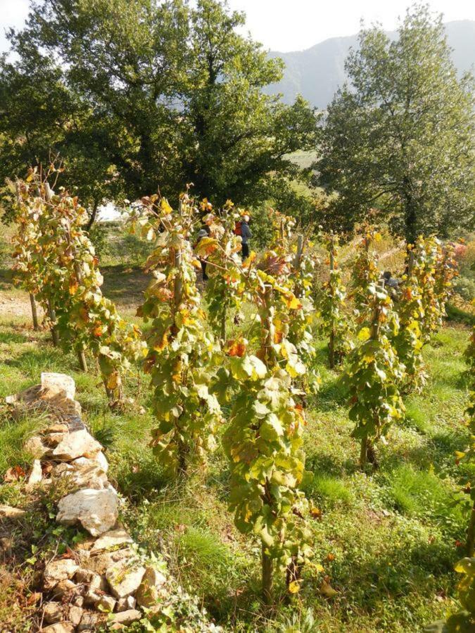 Hotel Ferme De La Bonnefontaine Plats Zewnętrze zdjęcie